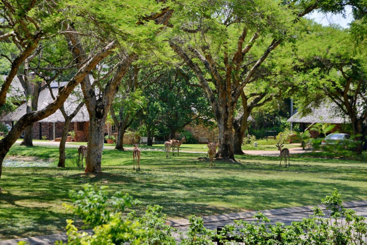 Cambalala - Luxury Units - In Kruger Park Lodge - Serviced Daily, Free Wi-Fi Hazyview Εξωτερικό φωτογραφία